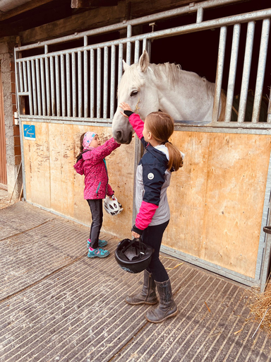 PFERD UND PONY