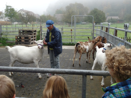 NATUR- UND TIERERLEBNIS