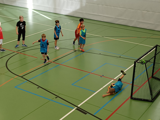 Handball Mini