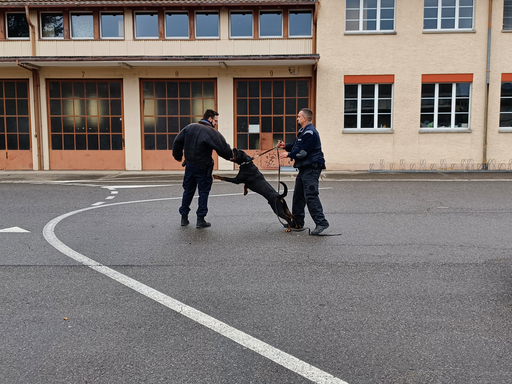 Regio-Polizei