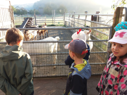 NATUR- UND TIERERLEBNIS