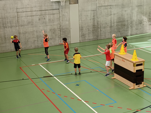 Handball Mini