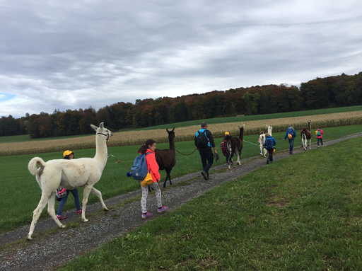 LAMA-TREKKING